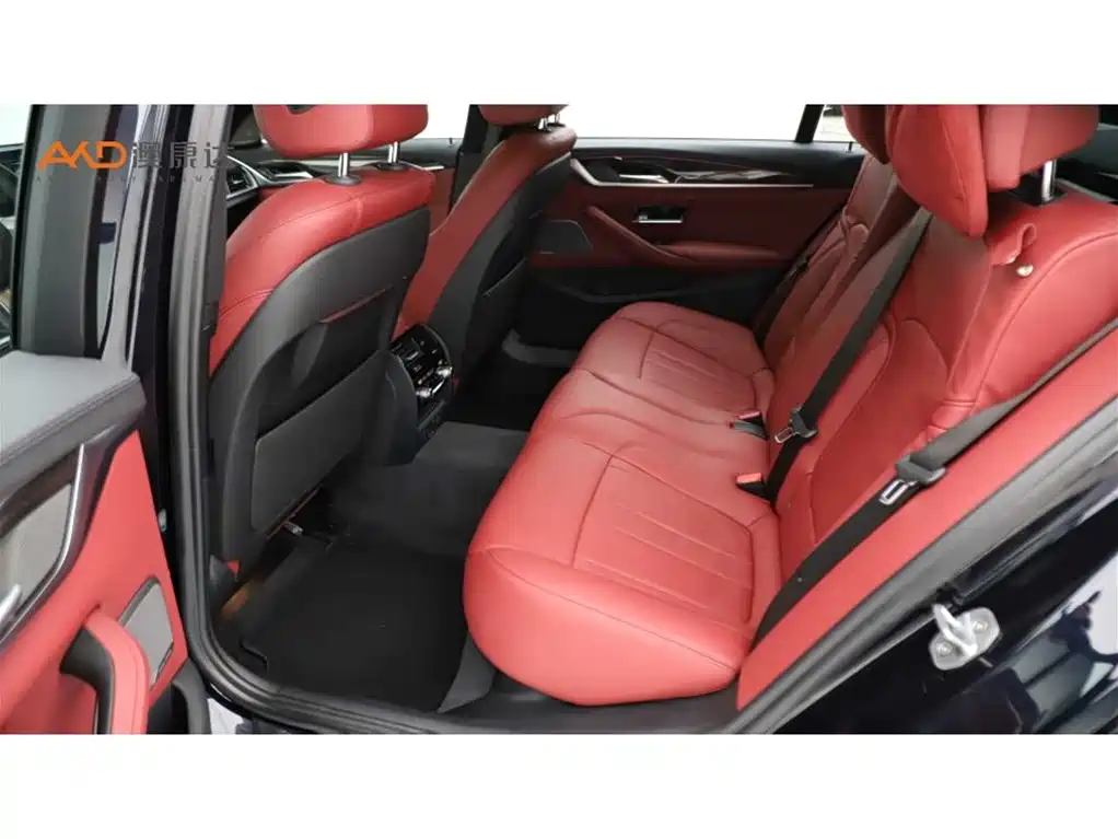 BMW 5 Series 2019 Facelift 530Li Premium M Sport Package фото 7