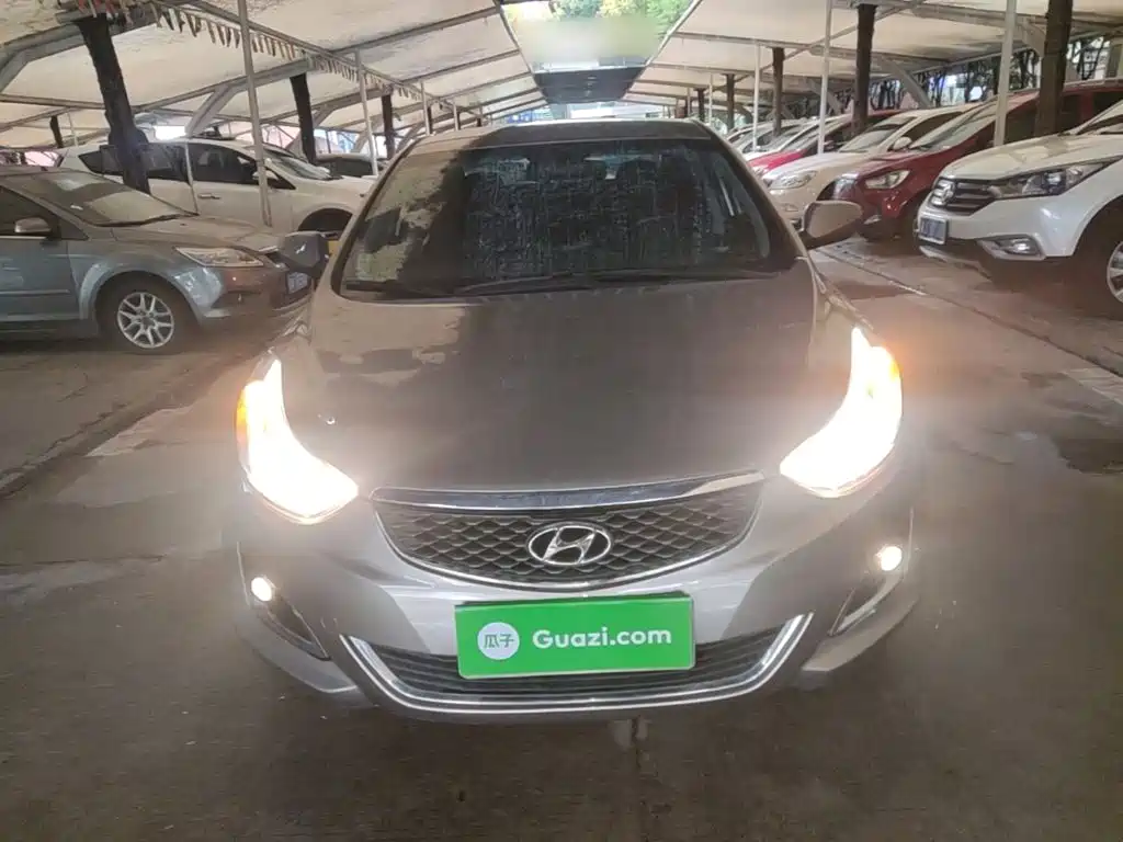 Фото 3 - Hyundai Langdong