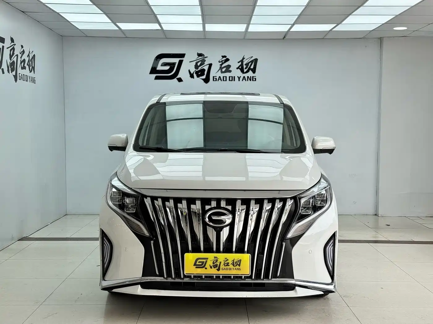 GAC Trumpchi Trumpchi M8 2021 Master Series 390T Ultimate Edition фото 2