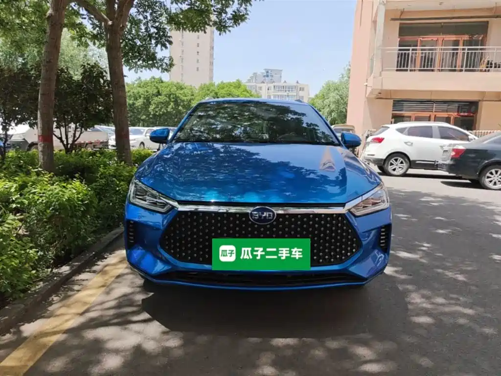 BYD e2 2021 Luxury Edition фото 3