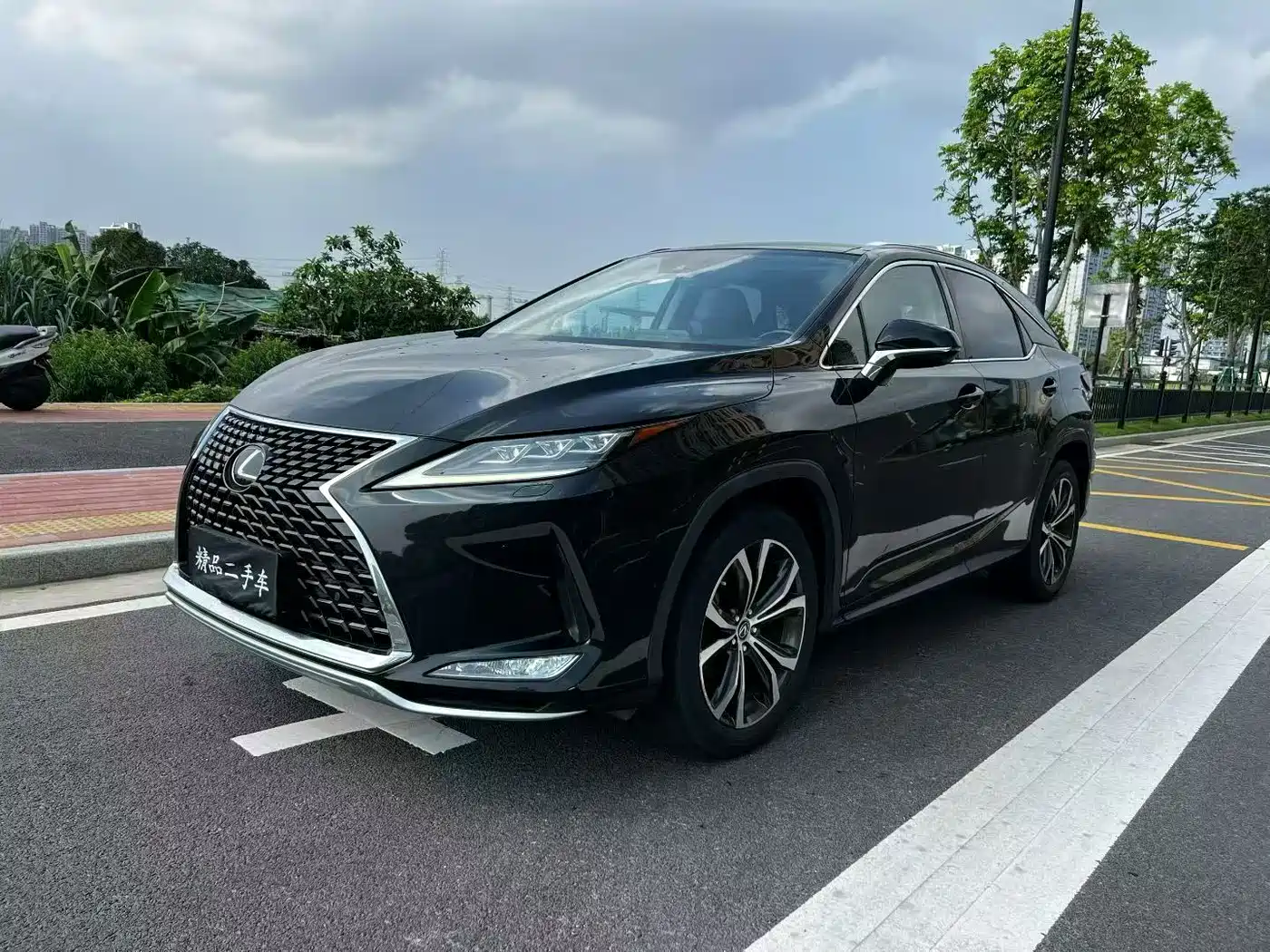 LEXUS RX