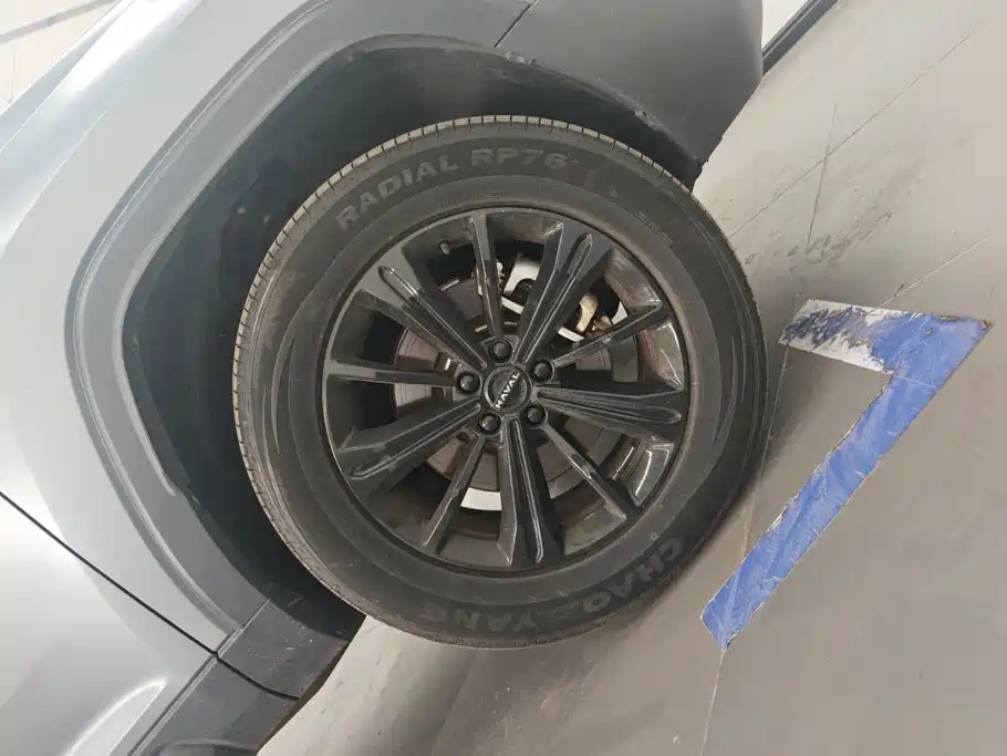Haval Meng Long NEV 2025 2024 Hi4 102 Pro