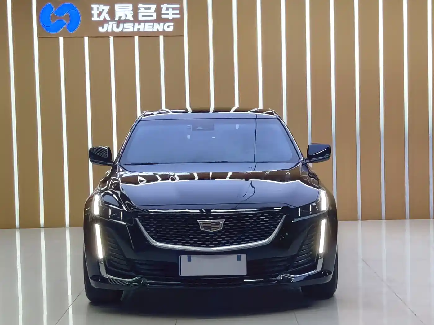 Cadillac CT5 2023 28T Luxury Style (Standard Edition) фото 2