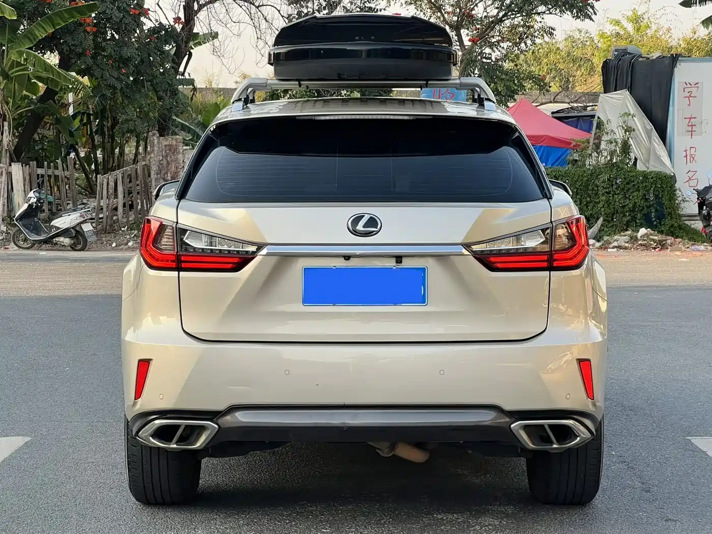 LEXUS RX