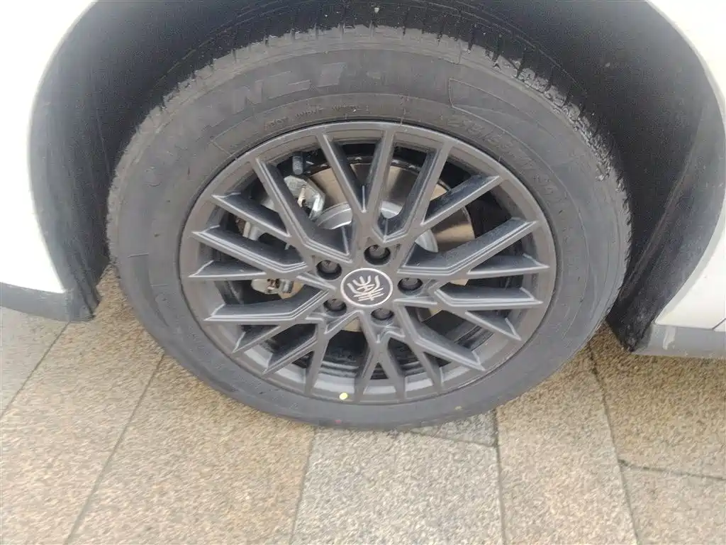 BYD Qin PLUS 2026 EV Smart Drive Edition 510KM Progressive фото 25