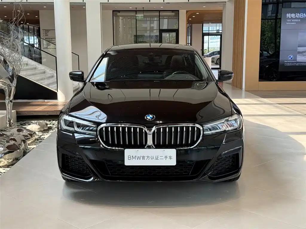 BMW 5 Series, миниатюра 14