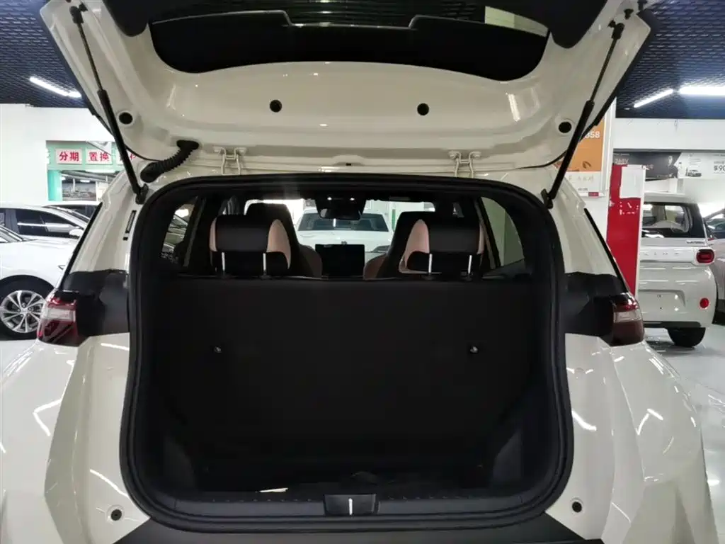 BYD Seagull 2025 Smart Drive Edition 305km Freedom Version фото 19