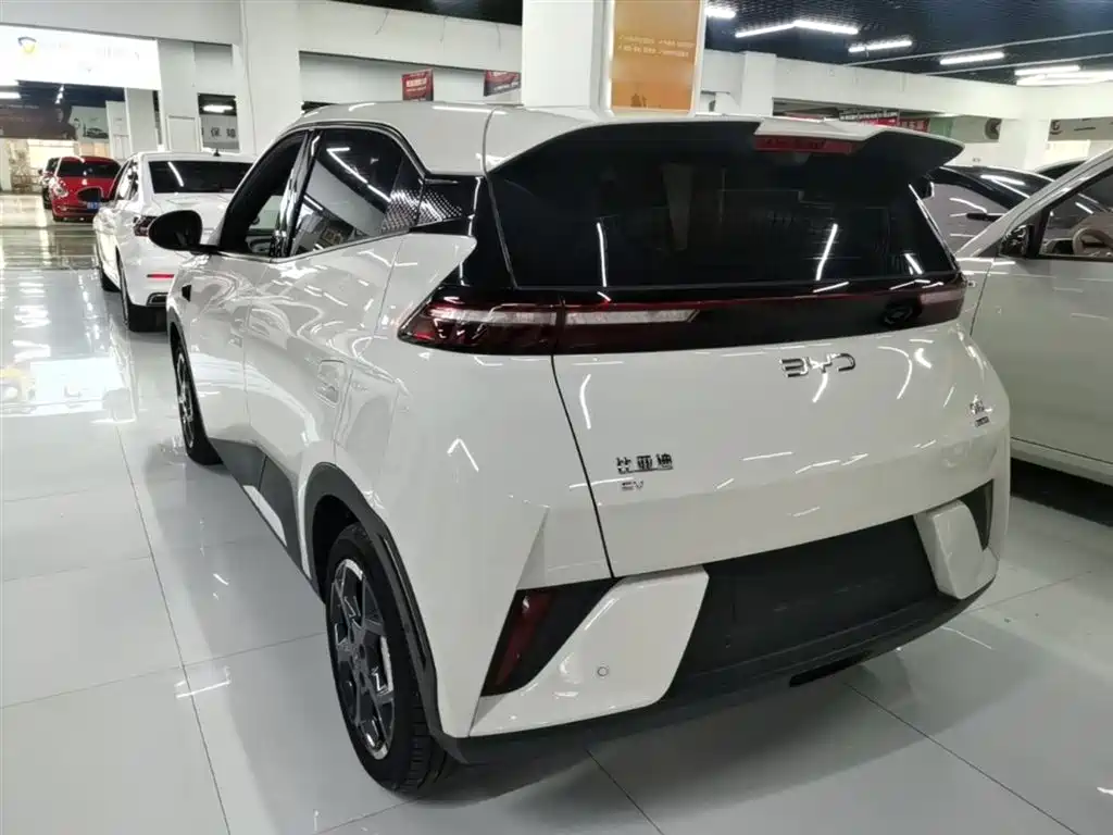 BYD Seagull 2025 Smart Drive Edition 305km Freedom Version фото 5