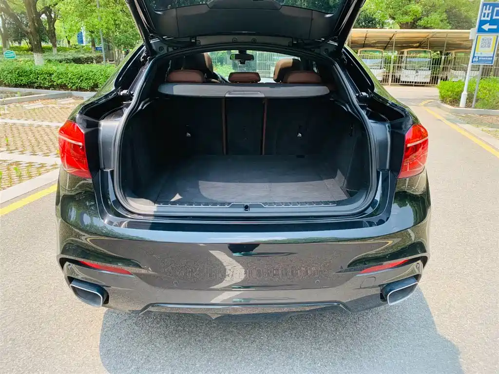 BMW X6 2018 xDrive35i M Sport Luxury Model фото 24