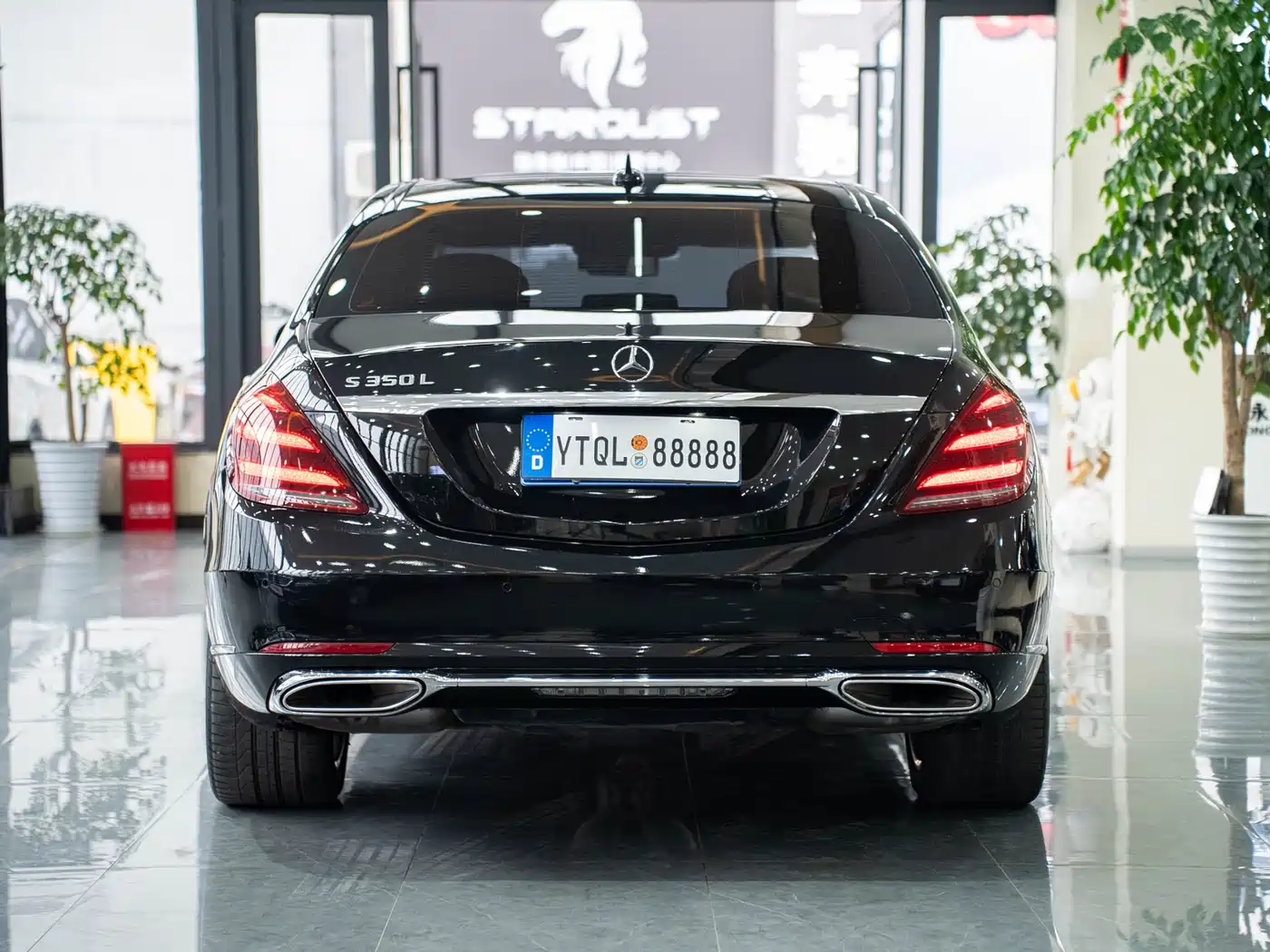 Mercedes-Benz S-Class 2020 S 350 L Premium Edition Collector's Version фото 6