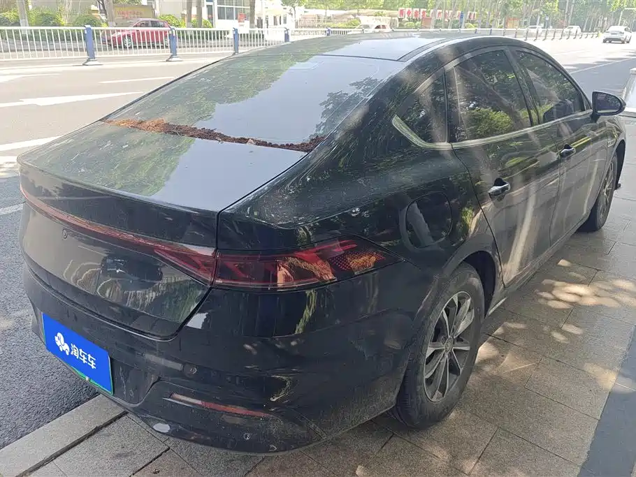BYD Qin PLUS 2023 Champion Edition DM-i 55KM Leading фото 3