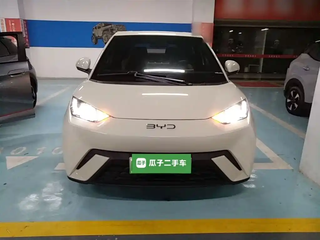 BYD Seagull 2024 Glory Edition 305km Vitality Edition фото 3
