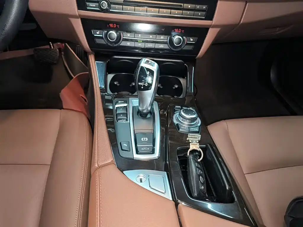 BMW 5 Series 2014 525Li Leading фото 14
