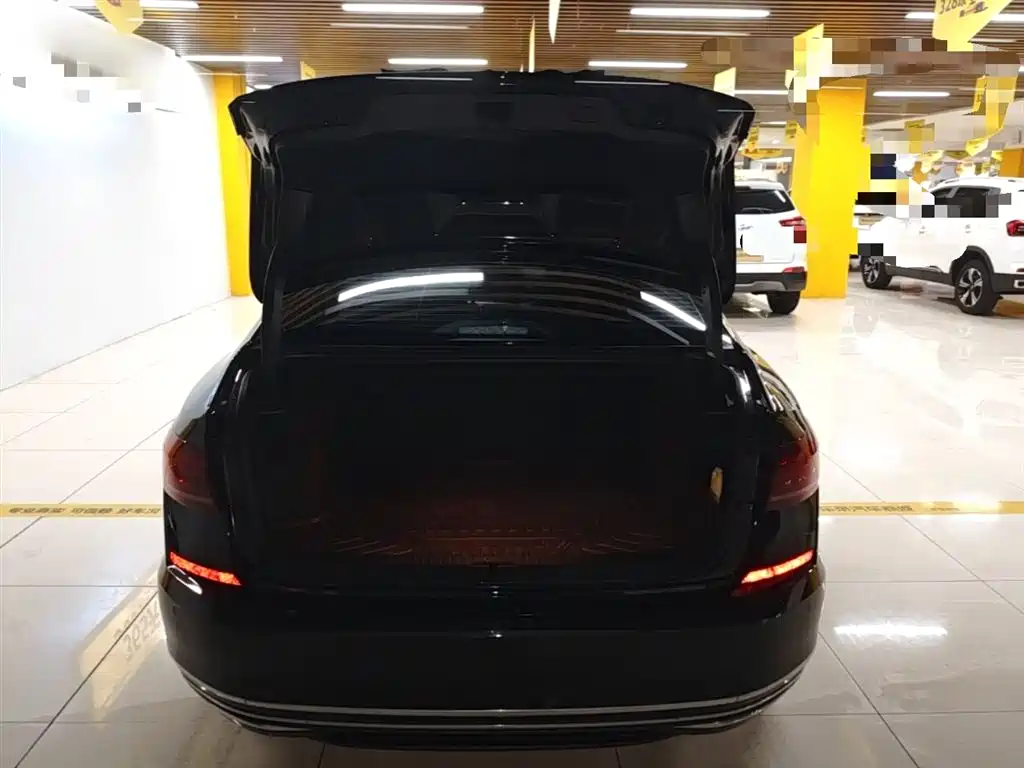 Volkswagen Passat 2024 330TSI Starlight Elite Edition фото 19