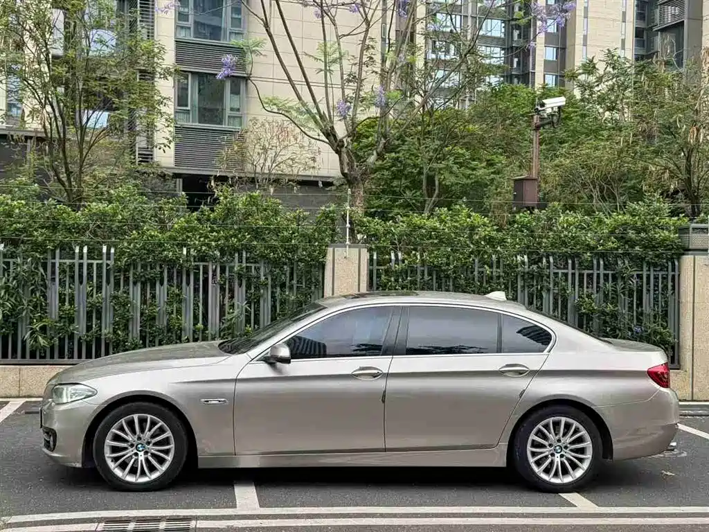 BMW 5 Series 2014 520Li Elegance фото 2