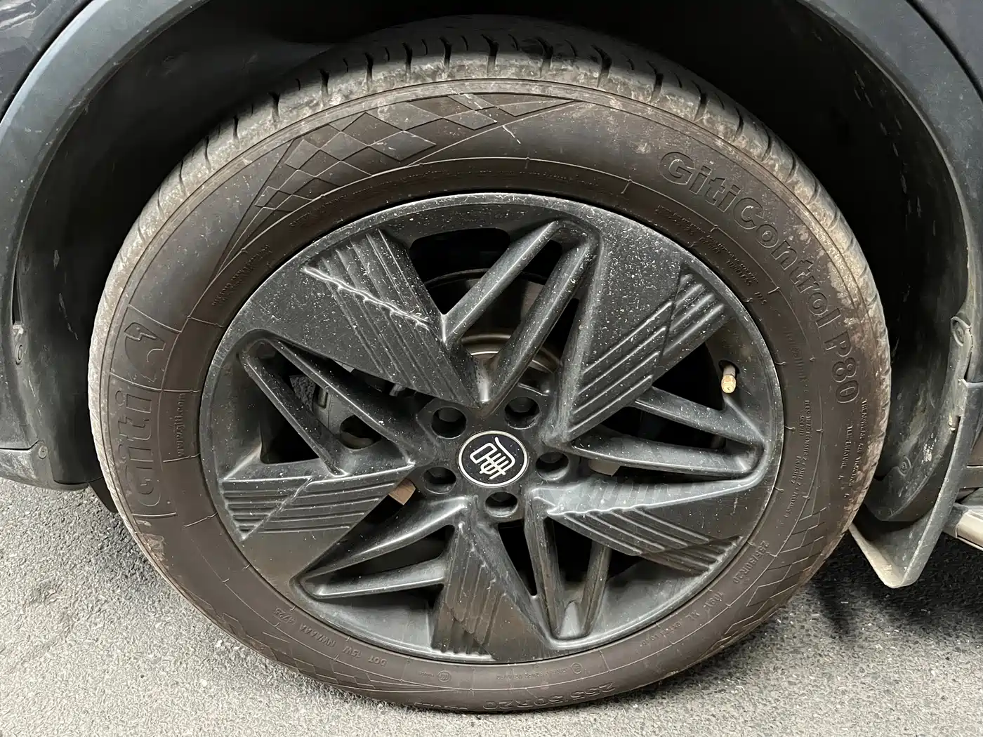 BYD Tang New Energy 2023 Model DM-i Champion Edition 112KM Honor фото 23
