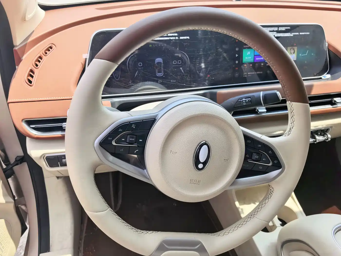 Ora Good Cat 2024 2024 401km Luxury