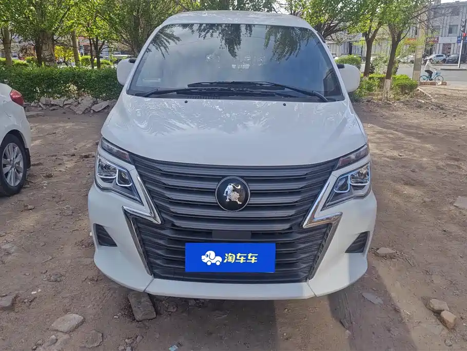 DONGFENG POPULAR LINGZHI
