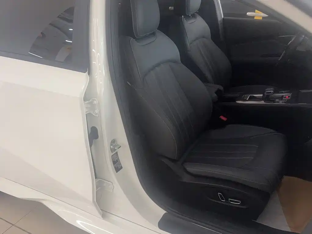 GAC Trumpchi Trumpchi Emkoo 2025 2024 Model 270T DCT Shadow Leopard R-Style Edition