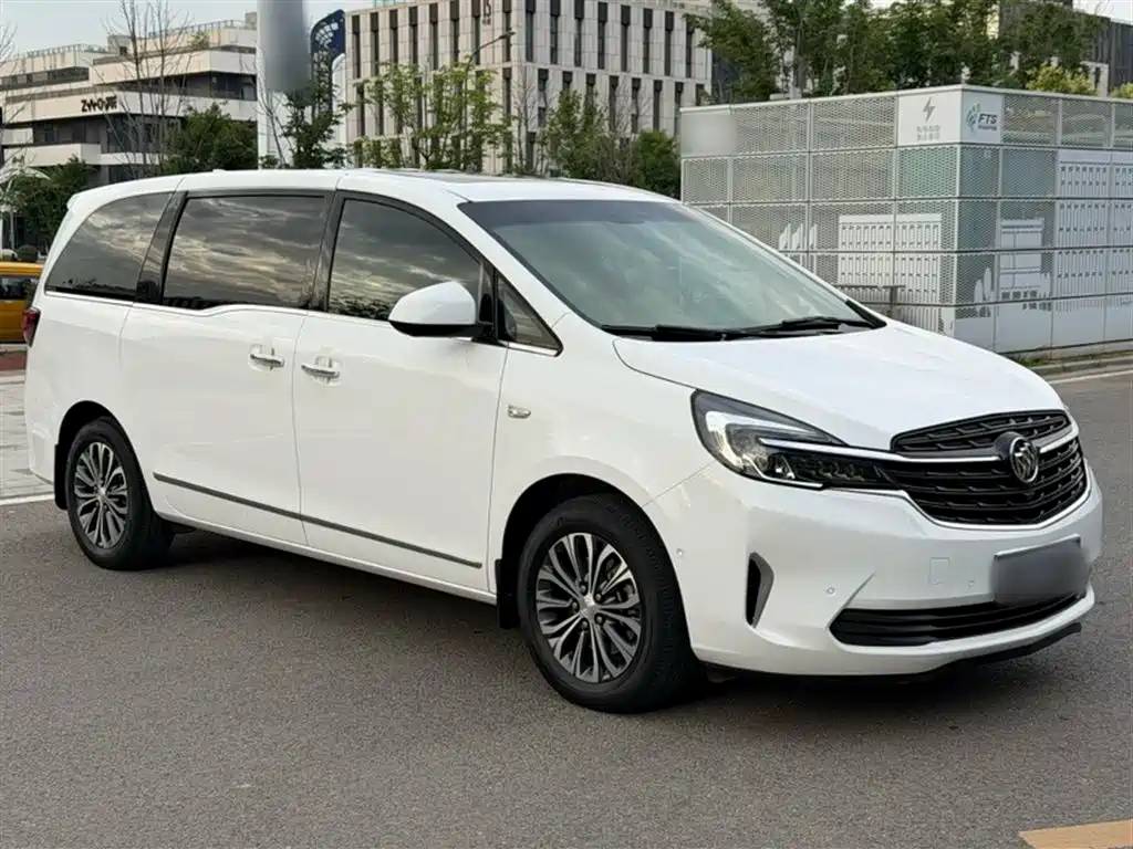 Buick GL8 2021 Land Business Class 652T Premium фото 12