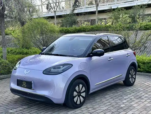 WULING WULING BINGGUO