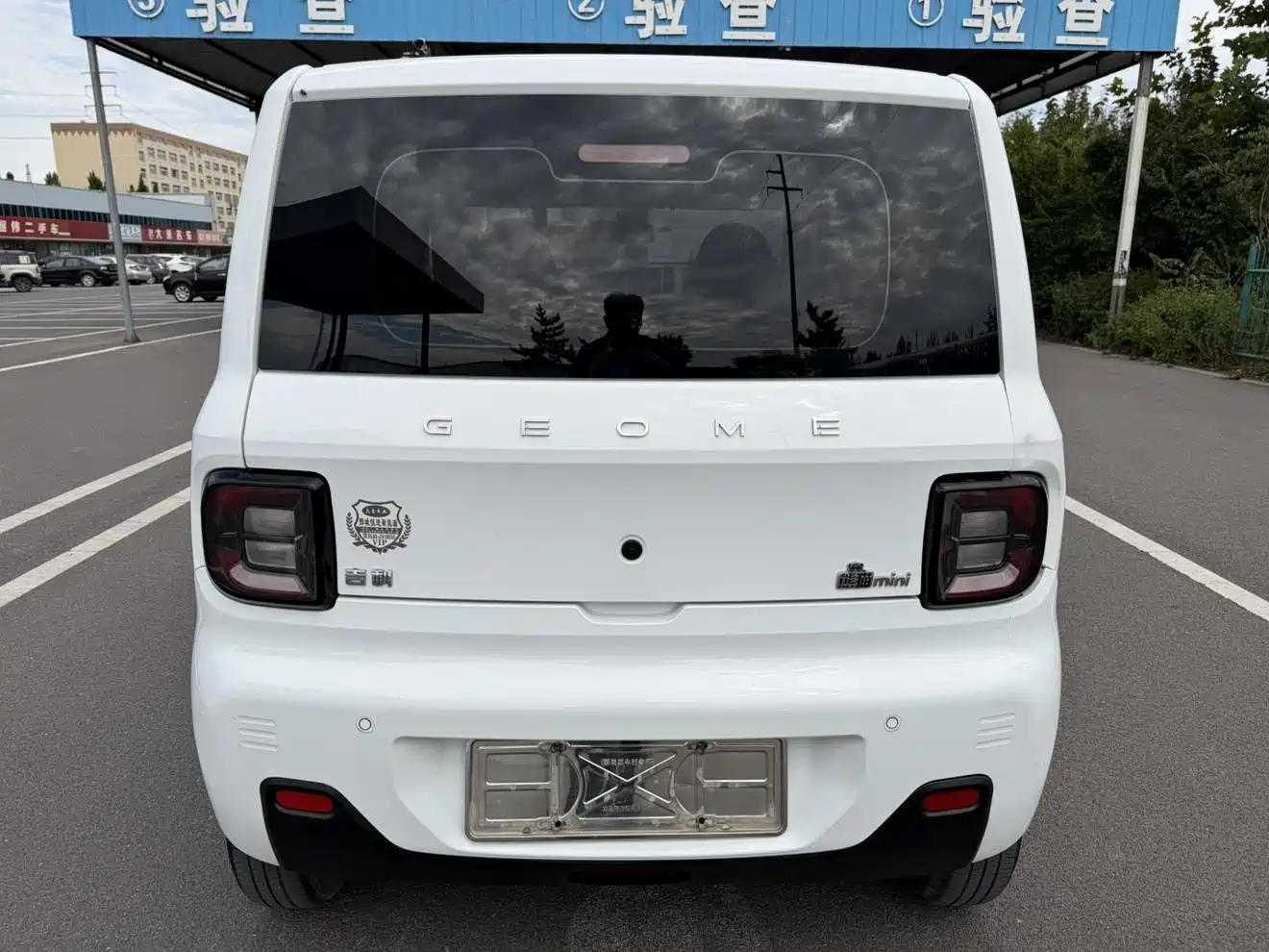 Geely Galaxy Panda 2025 2024 Panda mini 200km Endurance Bear
