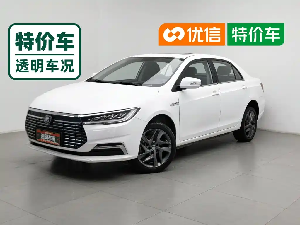 BYD Qin New Energy 2021 2019 Long Range Luxury Edition