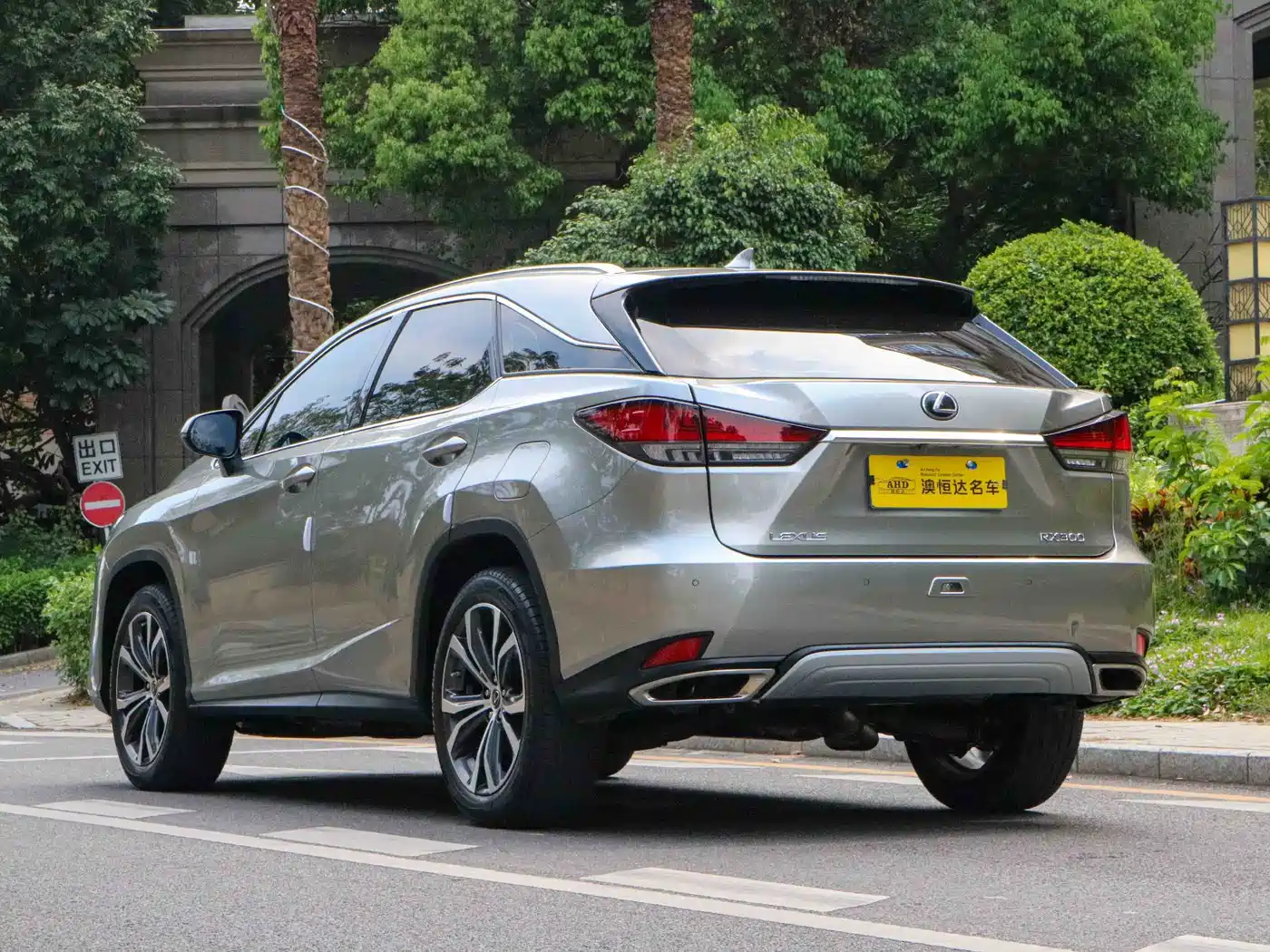 LEXUS RX