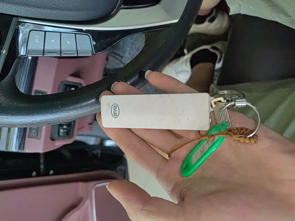 BYD Surui 2017 2016 1.5L Manual Elite