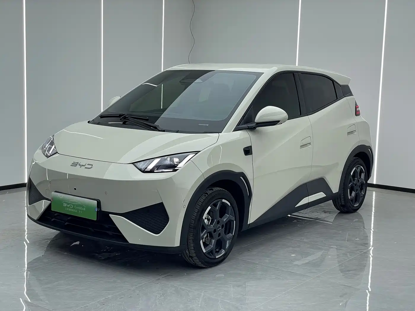BYD Seagull 2025 Smart Drive Edition 305km Freedom Version