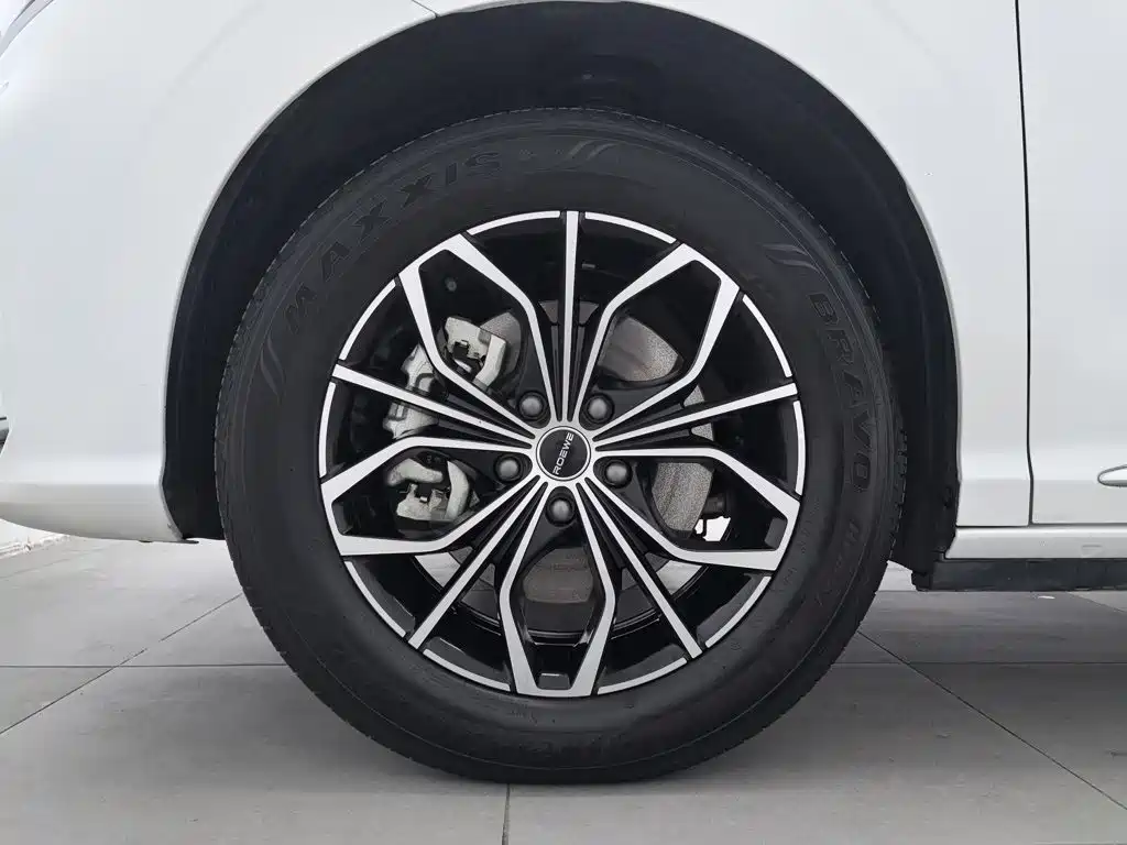 Фото 17 - Roewe iMAX8 EV