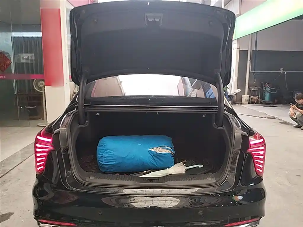 Hongqi H5 2023 2.0T Auto Smart Connect Flag Comfort фото 15