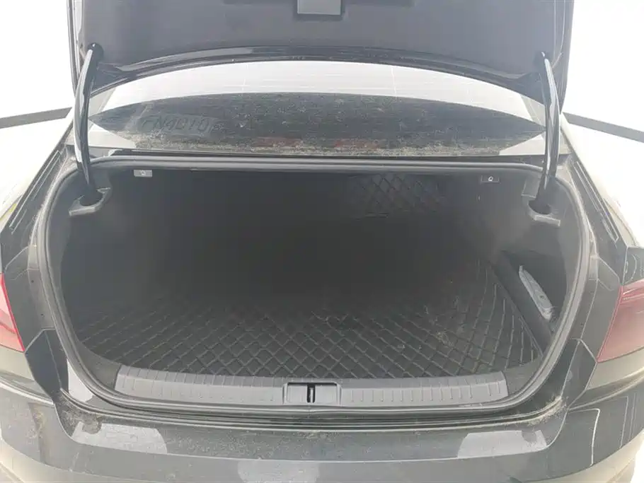 Volkswagen Magotan 2025 Popular Edition 330TSI DSG Luxury фото 4