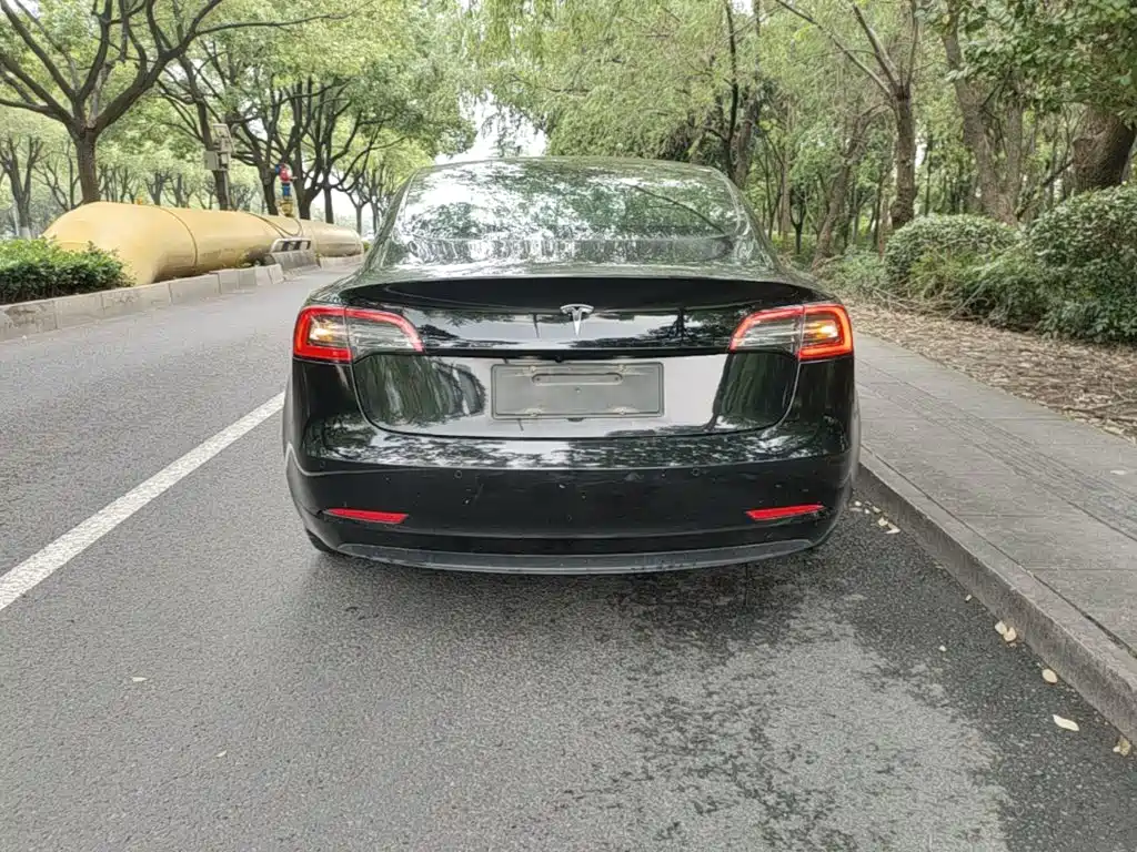 Tesla Model 3 (Import) 2019 2019 Long Range RWD Version