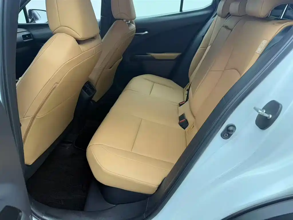 Lexus UX 2020 260h Explore Cool Edition China V фото 12