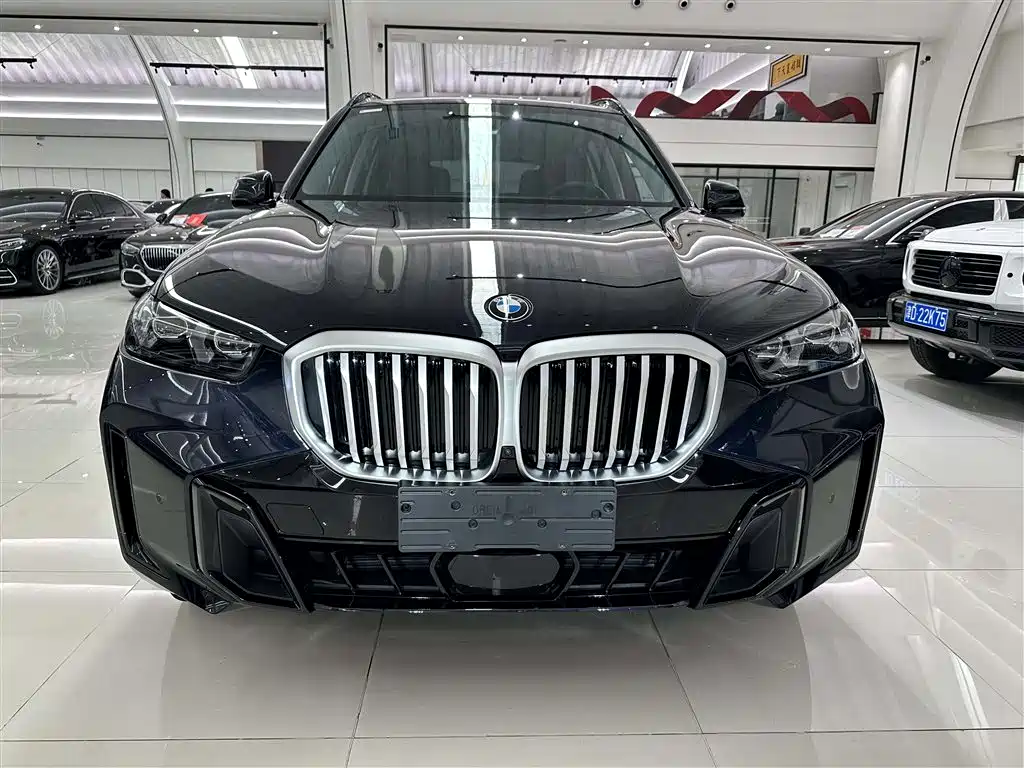 BMW X5 2023 xDrive 30Li Premium M Sport Black Night Package фото 2
