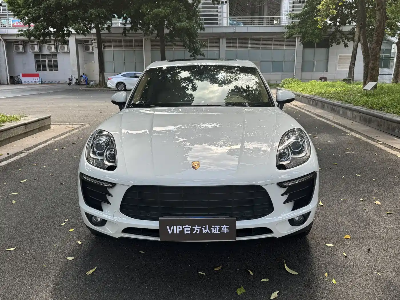 Porsche Macan 2014 Macan 2.0T фото 2