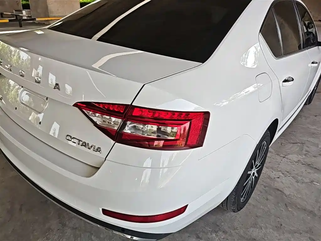 Škoda Octavia 2019 1.5L Automatic Smart Luxury China VI фото 8