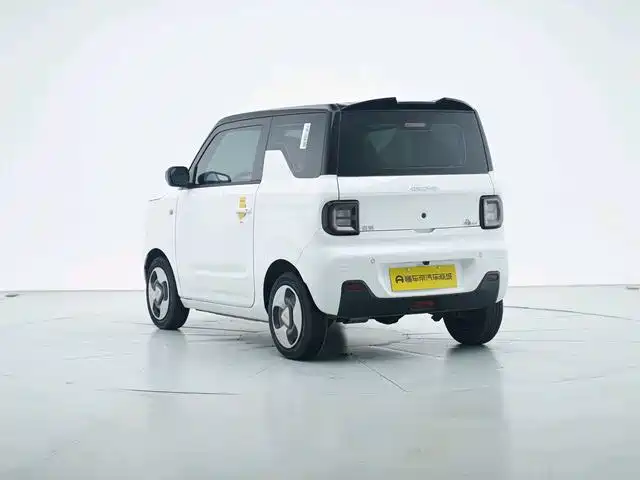 Фото 5 - Geely Galaxy Panda