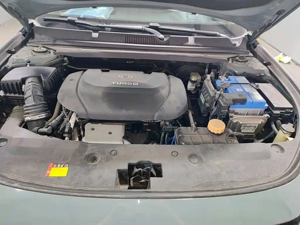 Baojun Valli 2021 2021 1.5T Nagqu Starry Sky CVT Flagship Model