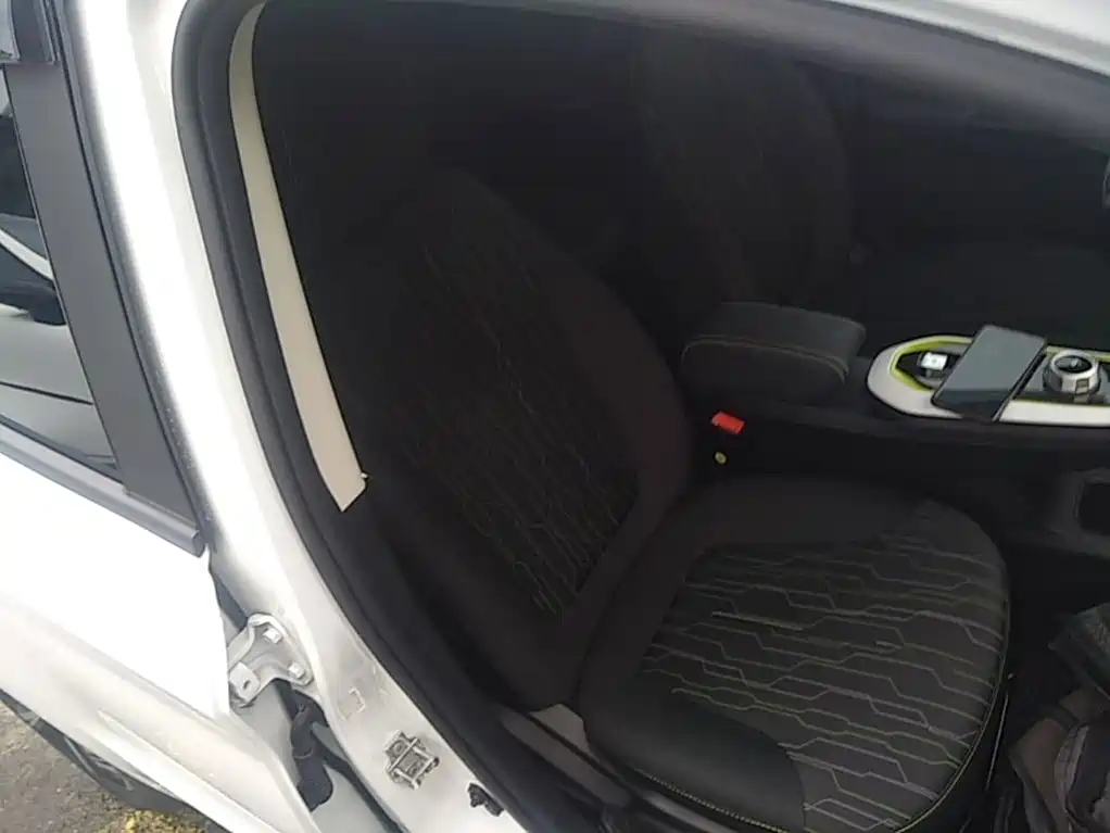 Changan Benben E-Star 2021 2020 Heartbeat Edition (NMC Battery)