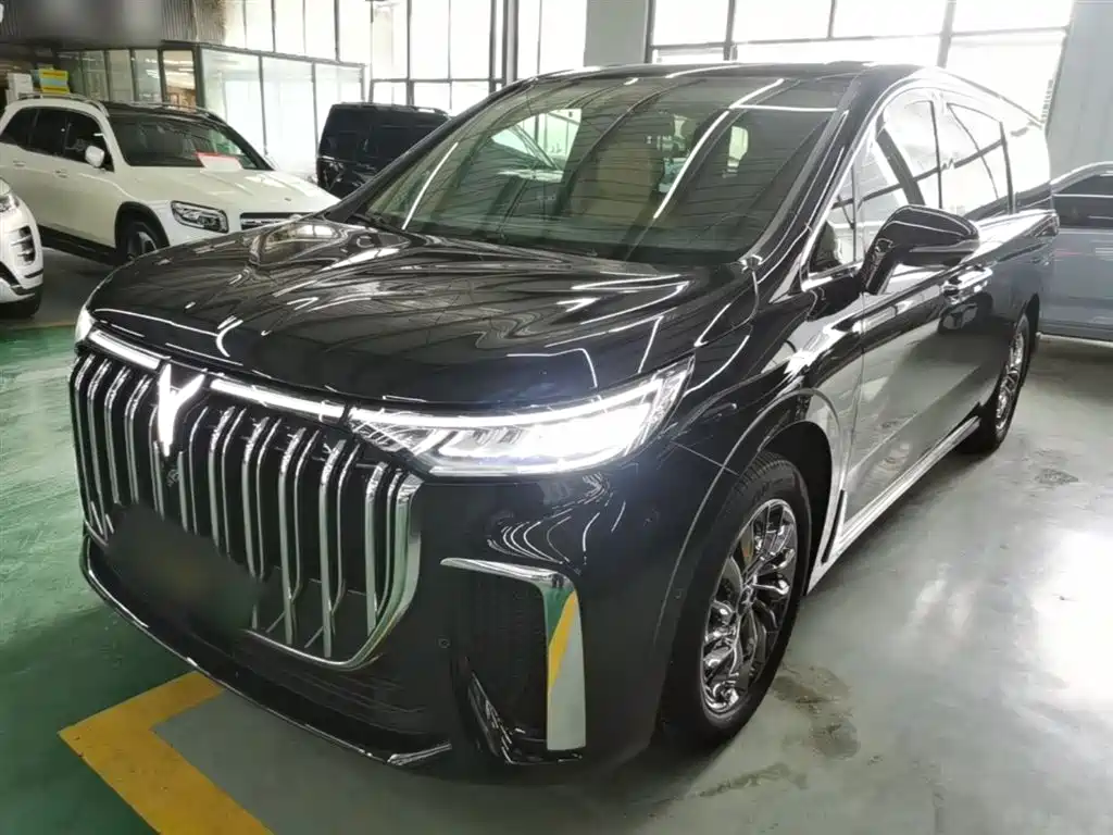 Voyah Auto Voyah Dreamer 2024 PHEV Extended Range Flagship Edition фото 2