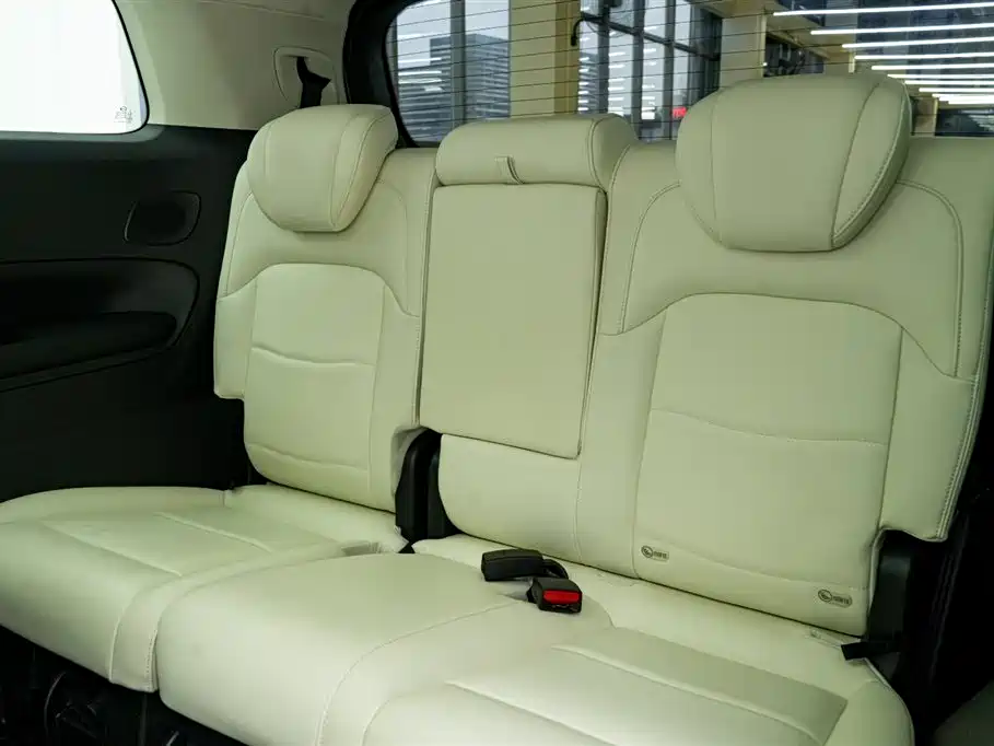GAC Trumpchi Trumpchi E9 2023 E9 MAX фото 26