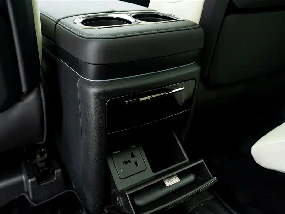 GAC Trumpchi Trumpchi E9 2023 E9 MAX фото 25