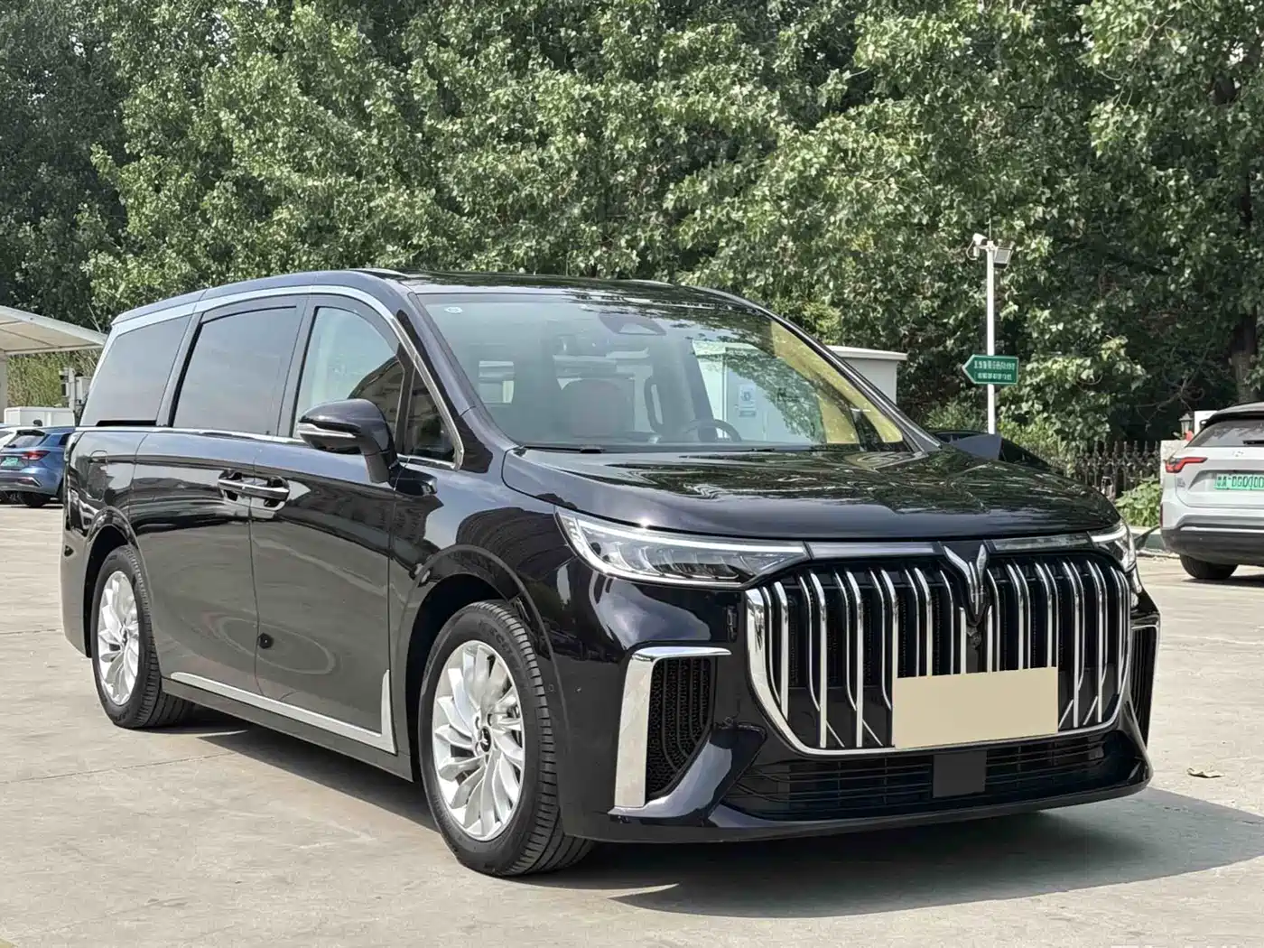 Voyah Auto Voyah Dreamer 2024 PHEV Extended Range Premium Edition фото 3