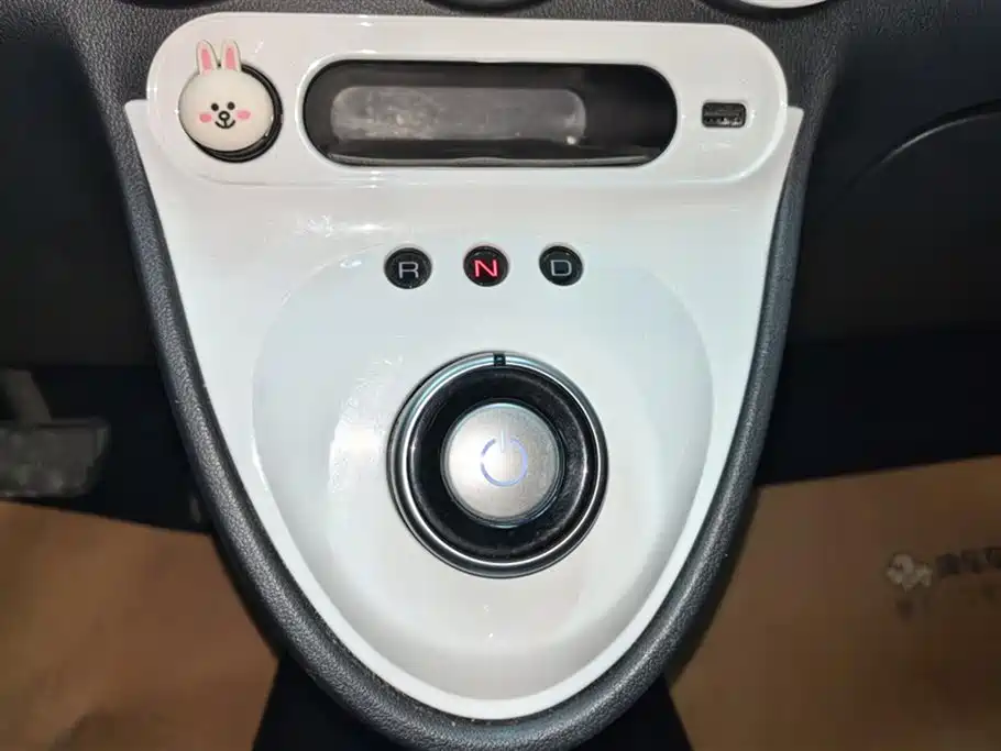 EULER BLACK CAT