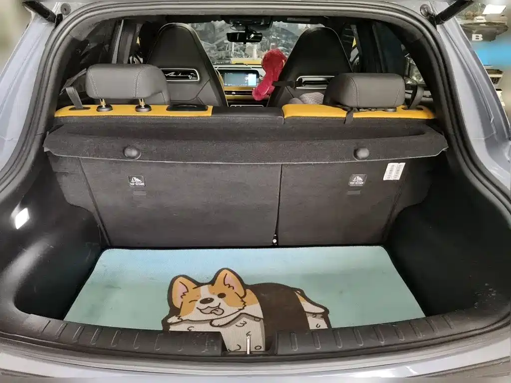 Ora Good Cat GT 2024 2023 Mulan Edition 401km Honor Model