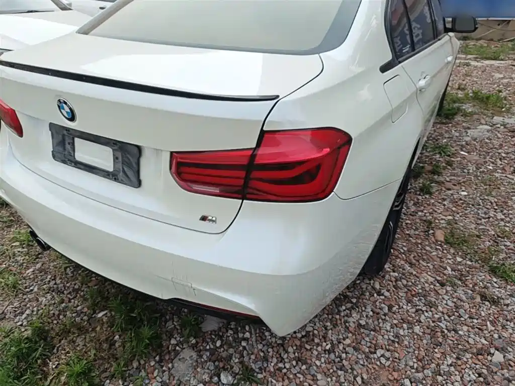 BMW 3 Series 2017 320Li M Sport фото 8
