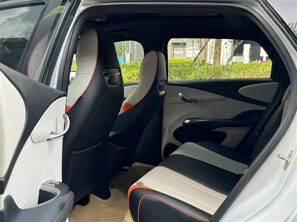 BYD Dolphin 2021 Model 405km Fashion Edition фото 12