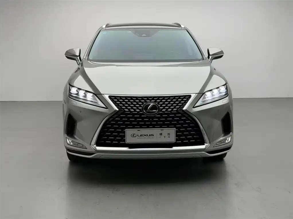 Lexus RX 2020 300 AWD Elegance Edition China V фото 2